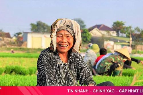 Rộn ràng vụ mới...