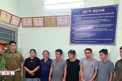 Thành phố Hồ Chí Minh triệt xóa đường dây sản xuất thực phẩm giả dịp cận Tết