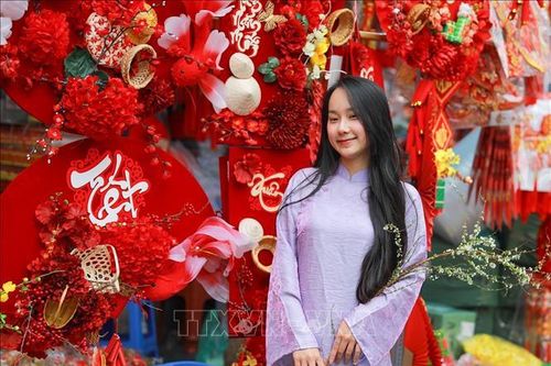 Rực rỡ sắc Xuân giữa lòng phố cổ Hà Nội