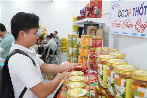 Tết Bính Ngọ 2026: Khi hàng Việt 'lên ngôi' trên sóng nước Cửu Long