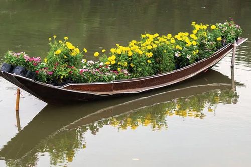 Sông chở Tết về