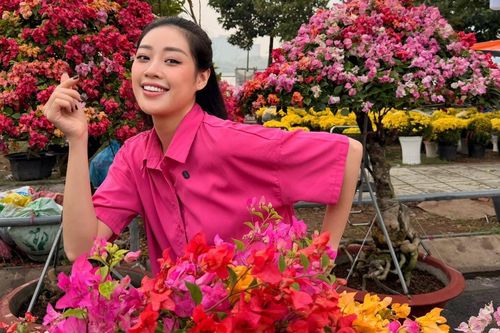 Khánh Vân tranh thủ sắm hoa Tết, được chồng nhiếp ảnh gia hết mực cưng chiều
