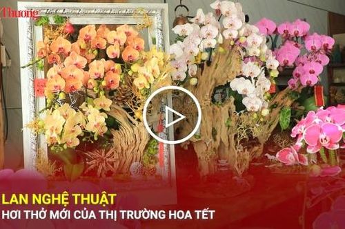 Lan nghệ thuật: Hơi thở mới của thị trường hoa Tết