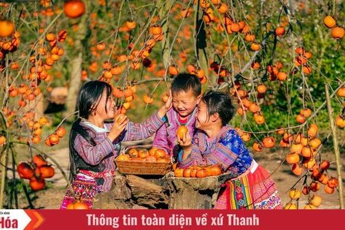 Phát động Cuộc thi ảnh, video 'Tết hạnh phúc' trực tuyến trên nền tảng số