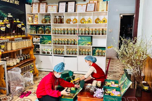 Tuần Giáo đẩy mạnh liên kết, tiêu thụ nông sản