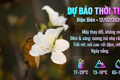 Bản tin Dự báo thời tiết ngày 13/2/2026