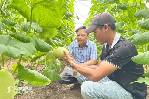 Xuân Ðông - mảnh đất nghĩa tình