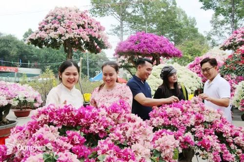 Hoa xuân nhộn nhịp xuống phố