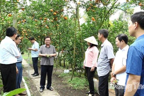 Phó Chủ tịch Quốc hội Lê Minh Hoan thăm Vườn quýt hồng Lan Anh