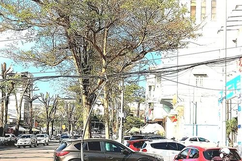 'Mạng nhện' cáp viễn thông gây mất an toàn và mỹ quan đô thị