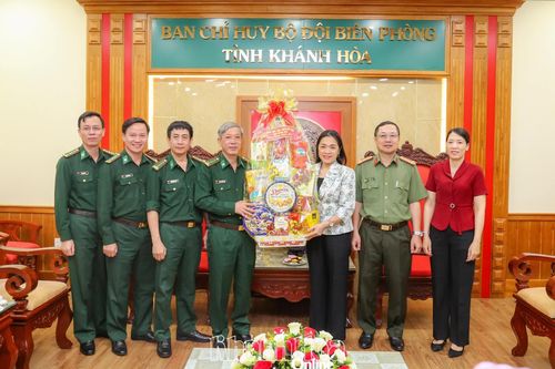 Phó Chủ tịch Thường trực Ủy ban MTTQ Việt Nam tỉnh Trần Thu Mai thăm, chúc Tết các đơn vị trực chiến