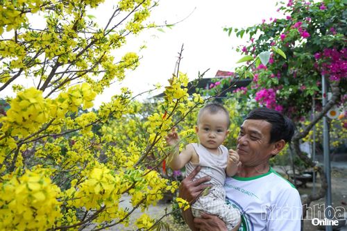 Xuân về trên vùng lũ