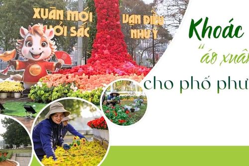 Khoác 'áo xuân' cho phố phường