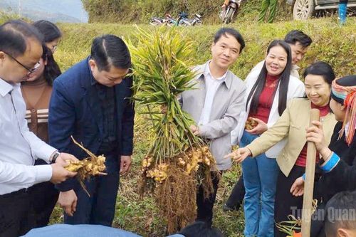 Nhịp sống mới ở Đường Hồng