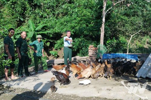 Lan tỏa mô hình 'Ngân hàng gà đen' ở Phong Quang