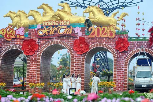Xuân về trên phố