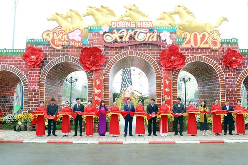 Thái Nguyên: Khánh thành tuyến 'Đường hoa xứ Trà' - Không gian Tết Xuân Bính Ngọ