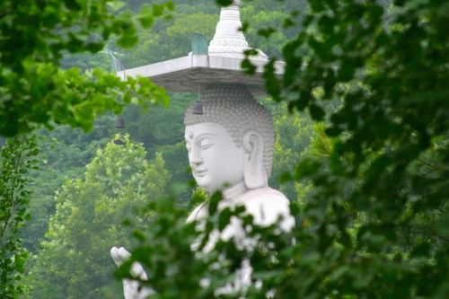 Phương pháp hòa giải xung đột dựa trên giáo pháp Phật giáo
