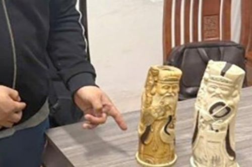 Hà Nội: Bắt giữ tài xế giấu tượng ngà voi trên ô tô