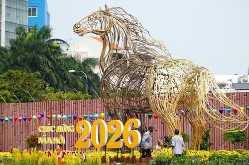 TP.HCM: Công viên hoa xuân 152 Trần Phú chính thức mở cửa