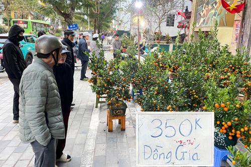 Giữa cao điểm sát Tết 2026, tiểu thương bất ngờ xả đào, quất thu hồi vốn