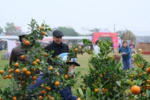 Khai mạc chợ hoa, chợ Tết xã Kim Anh 2026 – nét đẹp văn hóa đầu Xuân