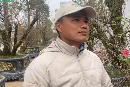 Từ chiếc xe đạp cọc cạch đến chủ vườn hơn nghìn gốc đào giữa lòng thủ đô