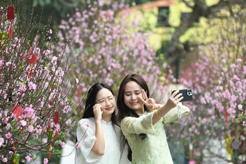 Sắc Xuân rực rỡ tại Vườn hoa Lý Thái Tổ