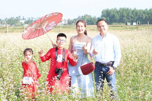Ngỡ ngàng cánh đồng tam giác mạch giữa lòng đô thị Quảng Ngãi