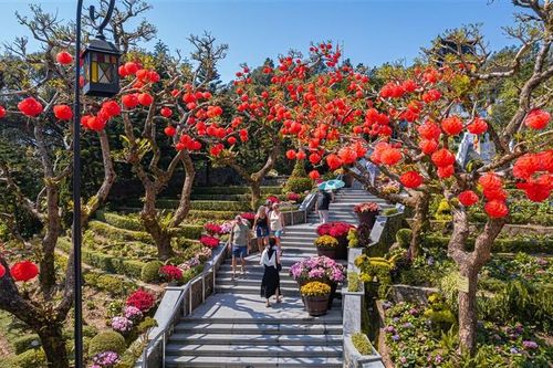 Bỏ túi sổ tay du xuân 2026 trọn gói từ trung tâm Đà Nẵng đến 'tiên cảnh' Bà Nà