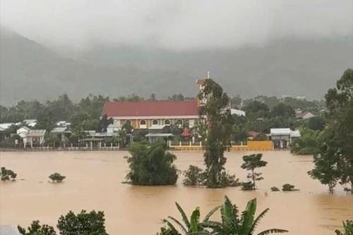 Mầm xanh từ phù sa