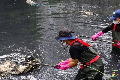 Người trẻ chạm vào 'giấc mơ xanh'