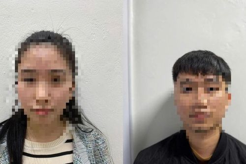Triệt phá đường dây vận chuyển trái phép hơn 10.000 tỷ đồng qua biên giới