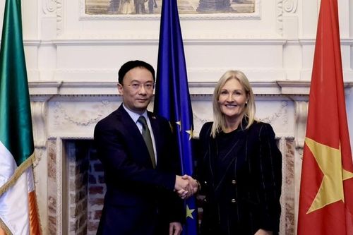 Thúc đẩy hợp tác song phương, nâng cao sự hiện diện và hình ảnh của Việt Nam và Ireland tại mỗi nước