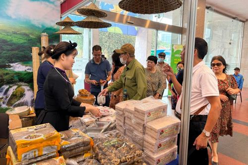 Hương vị tình thân gửi trọn trong từng phong bánh khảo