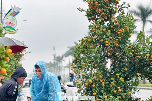 Lao động Hà Tĩnh tất bật mưu sinh những ngày giáp Tết