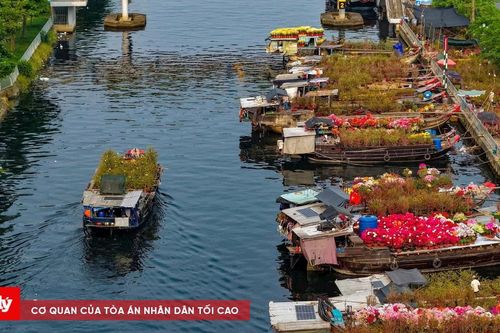 Nhộn nhịp Hội hoa Xuân, chợ hoa 'trên bến dưới thuyền' TP.HCM