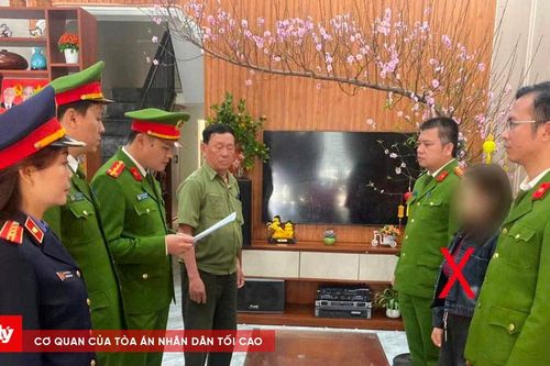 Khởi tố hai 'ông lớn' xe điện ở Sầm Sơn về tội trốn thuế
