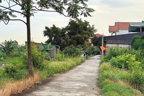 Xây nhà trên đất nông nghiệp, xin cấp sổ đỏ có phải nộp lại số lợi bất hợp pháp?