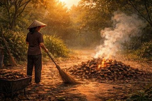 Tản văn Nguyễn Ngọc Tư: Tro lá