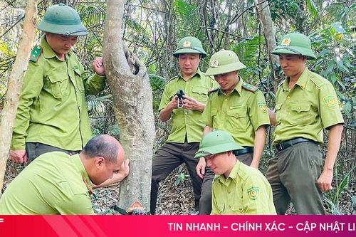 Ứng dụng khoa học công nghệ bảo tồn đa dạng sinh học Vườn Di sản ASEAN