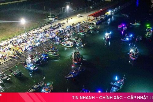 Hải sản được giá, những chuyến biển cuối năm của ngư dân Hà Tĩnh thêm vui