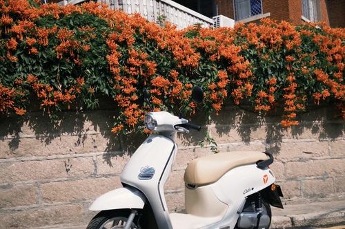 YADEA sắp ra mắt mẫu xe máy điện được phát triển tại Việt Nam