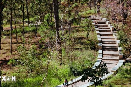 Trường Đại học Đà Lạt - Điểm đến lý thú dành cho du khách