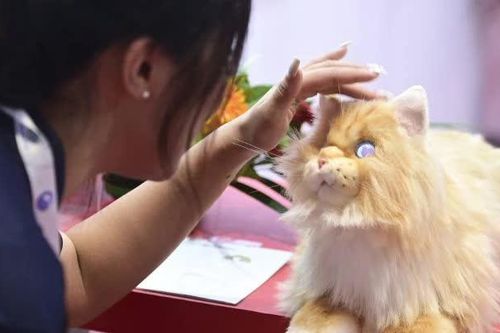 Thú cưng AI và sự trỗi dậy của 'nền kinh tế cô đơn' ở Trung Quốc
