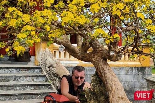 Bất ngờ với những gốc mai cổ tiền tỷ
