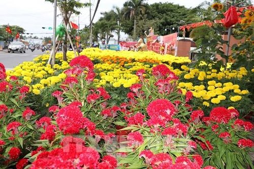 Xuân về trên từng con phố Đồng Tháp