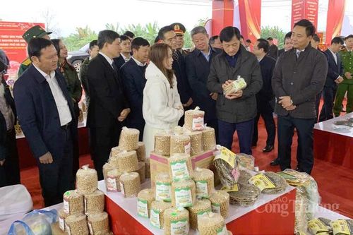 Sắc xuân rộn ràng tại ngoại thành Hà Nội
