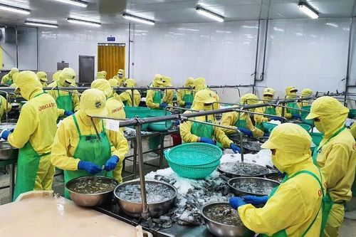 Cải thiện môi trường đầu tư tỉnh Cà Mau theo hướng giảm chi phí tuân thủ