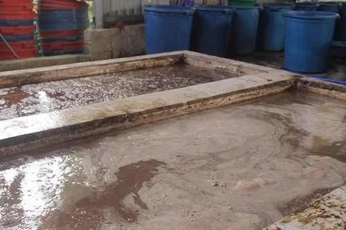 Giải 'bài toán' môi trường ở làng nghề sản xuất miến
